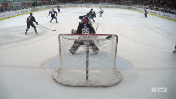 DEL-Redaktion  GIF
