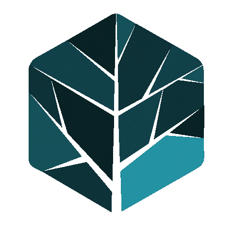 Sd Decathlon Sticker