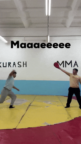 Ufc Mma GIF