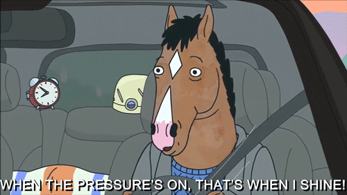 bojack horseman