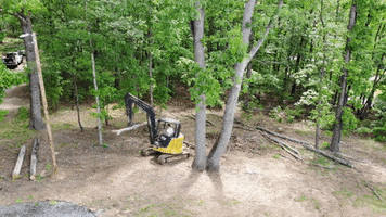 John Deere Trees GIF by JC Property Professionals