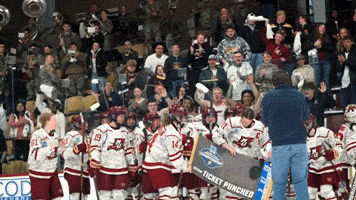 Winning Womens Hockey GIF by Norwich University