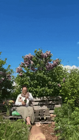 Party Birthday GIF
