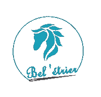 Beletrier Sticker