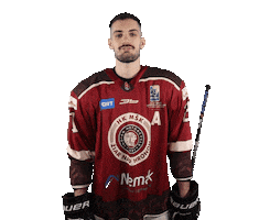 HK MŠK Žiar nad Hronom Sticker