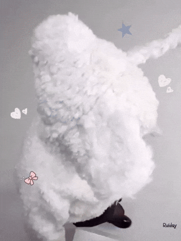 Rabbit Cutie GIF