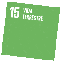 Sustentabilidade Sticker by Sicredi Centro Serra RS