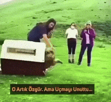 Emotional GIF by UGCPazar