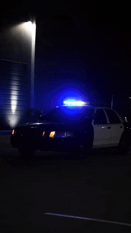 Ford Crown Vic GIF