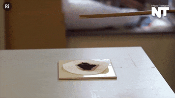 slow motion news GIF by NowThis 