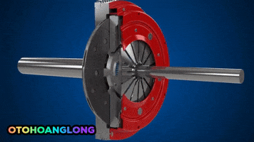 Otohoanglong GIF