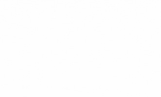 Sport's Fundamental GIF