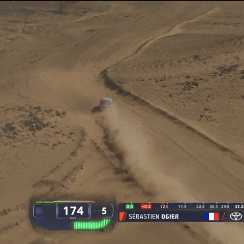 Wrc GIF by FIA World Rally Championship