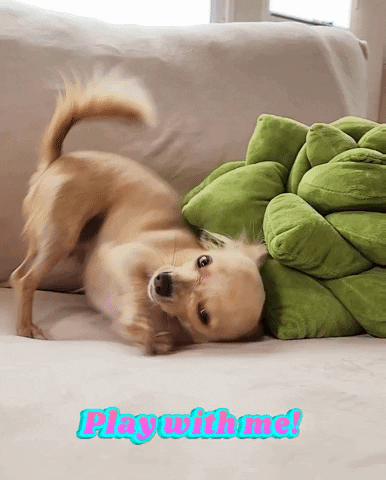 Happy Play With Me GIF