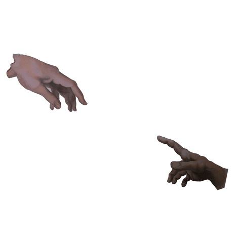 NoemaNY GIF