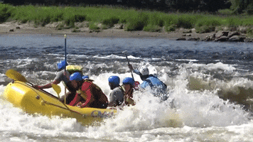 Whitewater River Rafting GIF by Kern River Outfitters