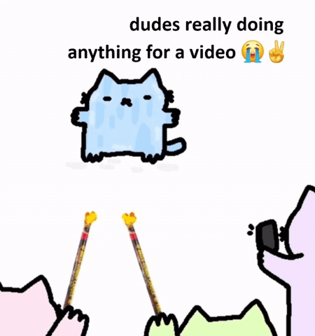 Spainnubcat GIF