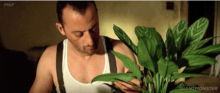 gif used in post