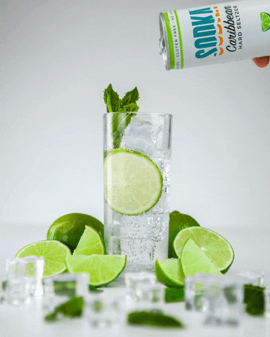 Cheers Refreshing GIF by Sodka Hard Seltzer