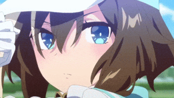 Horse Focus GIF