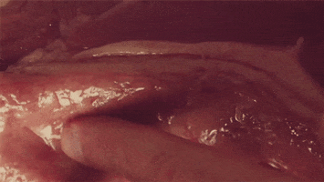 food porn hot steaks GIF by Digg