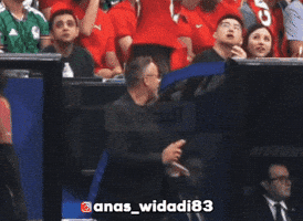 Gang Morocco GIF
