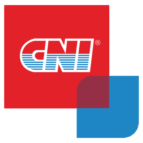 Cnigif Sticker by CNI