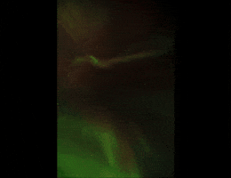 Travel GIF