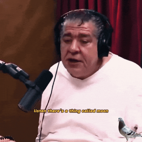 Chocolate Bar 10 Dollars GIF