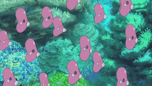 Pokemon Fish GIF