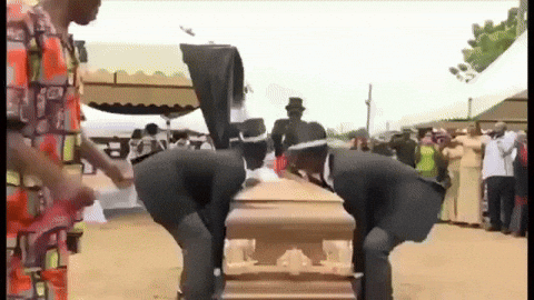 https://media4.giphy.com/media/tl1zY9oCQldSBTjL6o/giphy.gif?cid=6c09b952da9e9568e33926c87dc9596361cdd8c5902b75da&rid=giphy.gif&ct=g