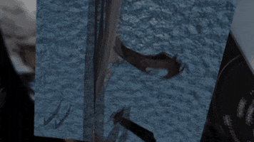 Marcosparajua GIF