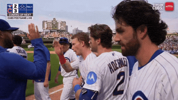 Chicago Cubs Mlb GIF