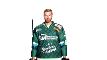 Bietigheim Steelers Sticker