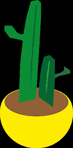 Cactus GIF