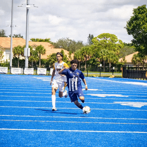 Ciu GIF by Diaza Football