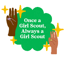 Member Renew Sticker by Girl Scouts