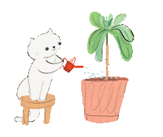 Animated Sticker