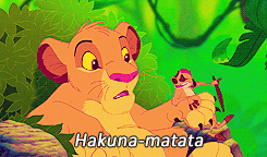 Disney gif. Young Simba from The Lion King is serenaded by Timon, who leans over his paw and sings, "hakuna matata."