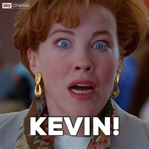 home alone kevin GIF by Sky