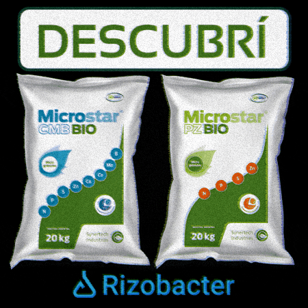Maiz Microstar GIF by Rizobacter Argentina