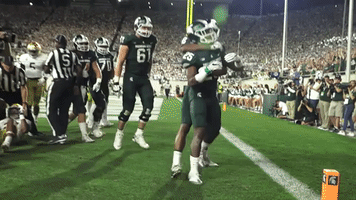 Celebrate College Football GIF by Michigan State Football