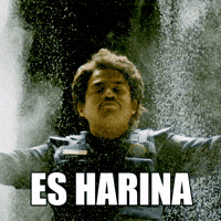 Harina GIFs - Get the best GIF on GIPHY