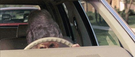 driving ferris buellers day off GIF