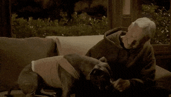 Cbs Tv Gibbs GIF by CBS