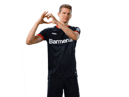 Bayer 04 Love GIF by Bayer 04 Leverkusen