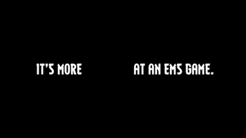 Baseball Ems GIF by Eugene Emeralds