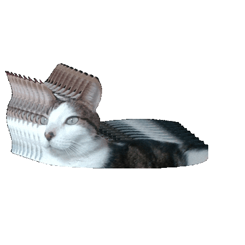 Animated Sticker
