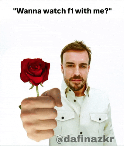 Max Verstappen F1 GIF