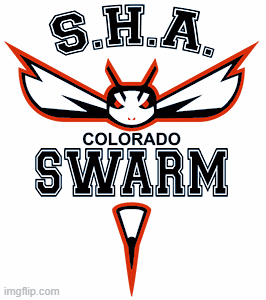 Team Swarm GIF by Stroope Hoop Academy